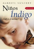 Portada de NIÑOS INDIGO: ¿CUAL ES EL MENSAJE?