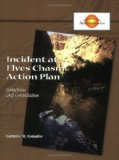 Portada de INCIDENT AT ELVES CHASM ACTION PLAN: PACKET OF 5