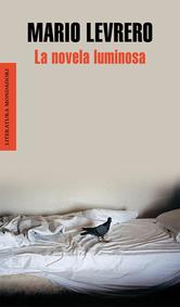 Portada de LA NOVELA LUMINOSA