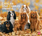 Portada de FOR THE LOVE OF CAVALIER KING CHARLES SPANIELS 2013 CALENDAR