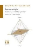 Portada de FENOMENOLOGIA. SECCIONES 94-100 DEL BIG TYPESCRIPT