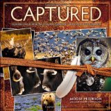 Portada de CAPTURED: LESSONS FROM BEHIND THE LENS OF A LEGENDARY WILDLIFE PHOTOGRAPHER (VOICES THAT MATTER)